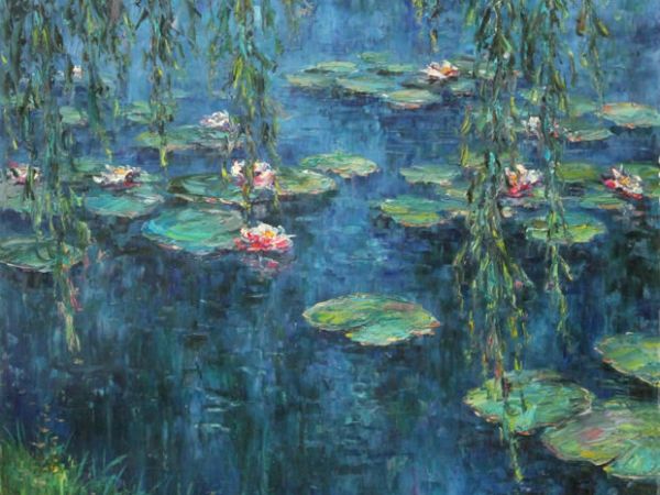 Malilla en patios de azotea